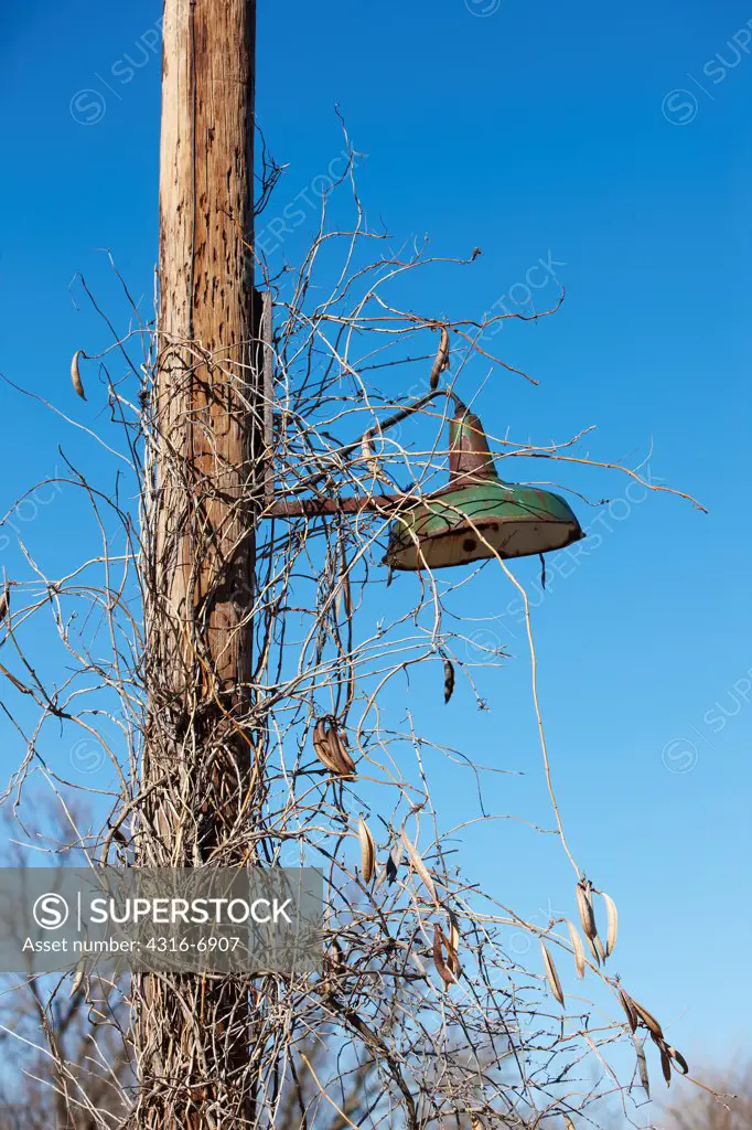 USA, Oklahoma, Picher, Old street light overgrown by ivy