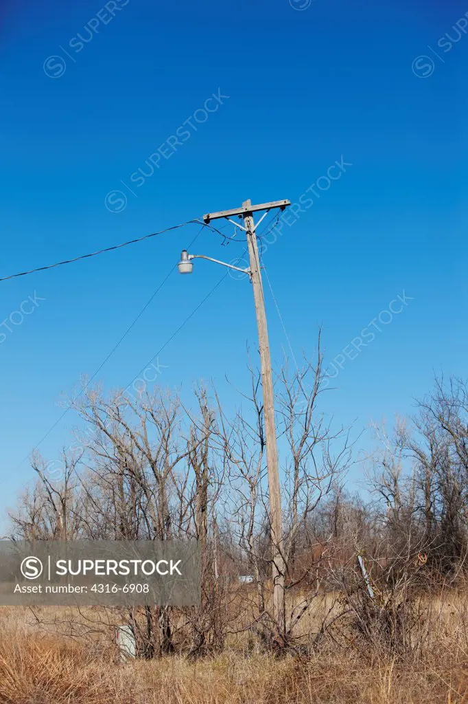 USA, Oklahoma, Picher, Old street light on tall pole overgrown by vegetation