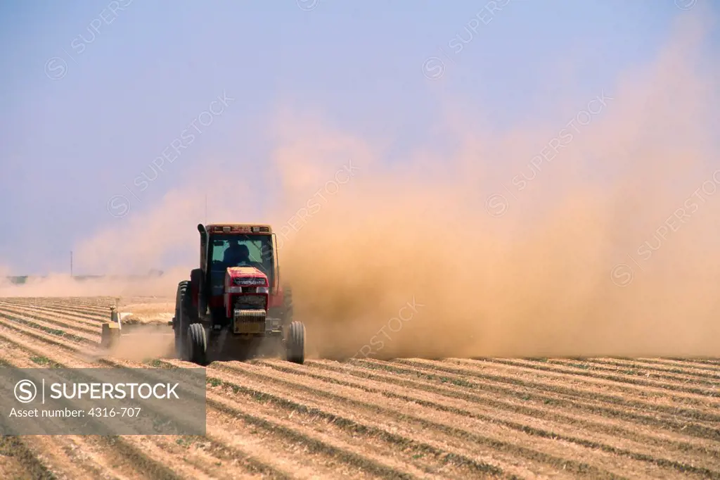 Grading a Harvested Field During a Wind Storm