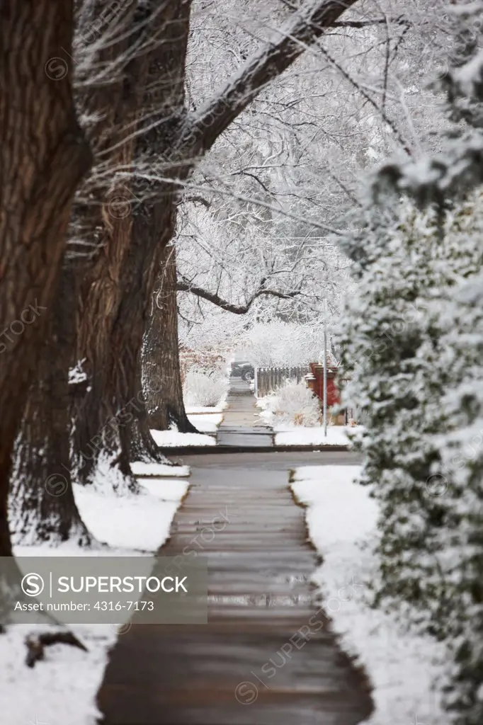 USA, Colorado, Sidewalk after snowstorm
