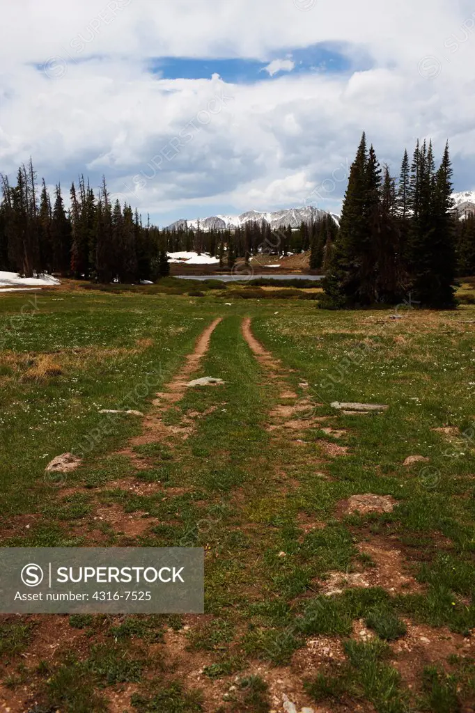 Fading two track road in mountain meadow, snow capped peaks of the Snowy Range of the Medicine Bow Mountains in distance, southern Wyoming