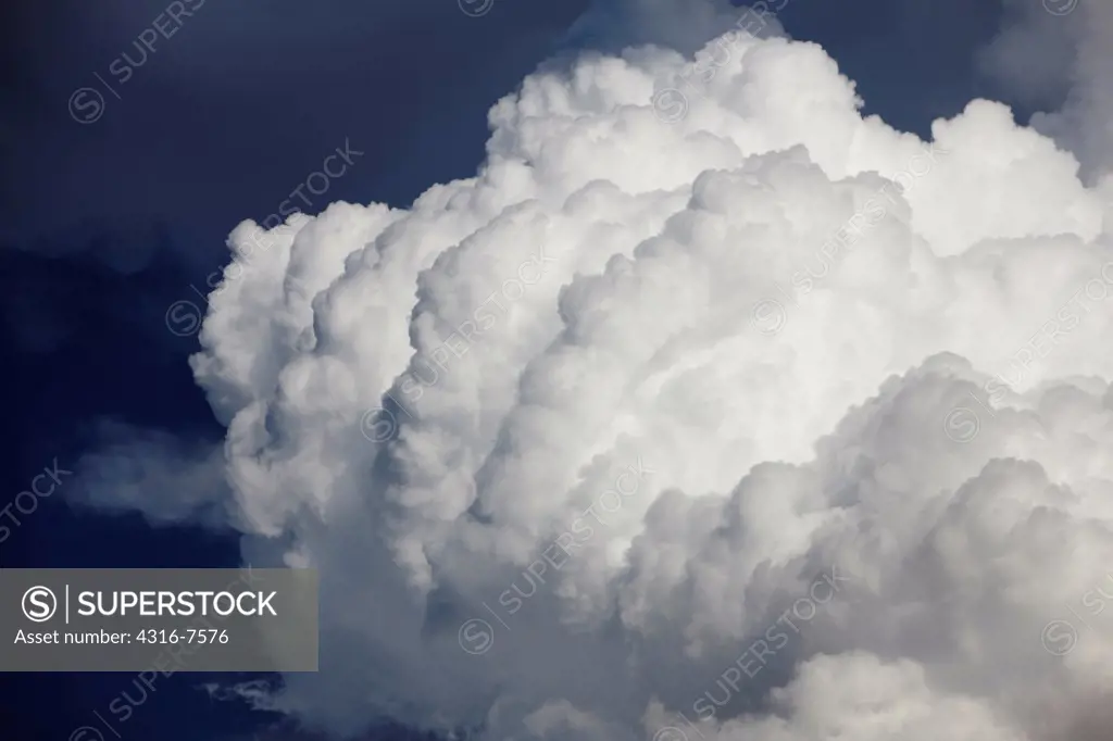 Detail of cumulus congestus cloud