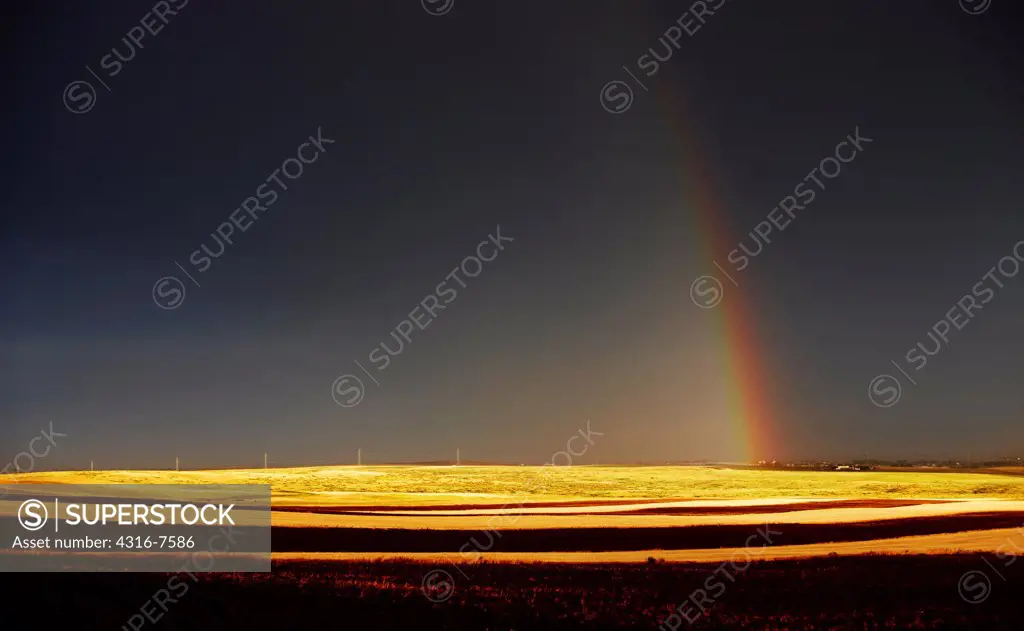 Rainbow over wheat fields after the passage of a powerful thunderstorm, Colorado