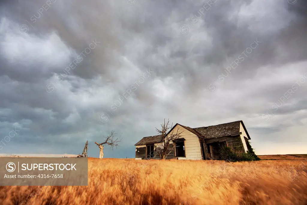 Abandoned ranch house amid wheat field and approaching violent thunderstorm