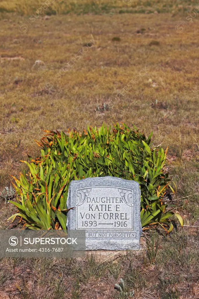 USA, Colorado, Old grave at abandoned ghost town of Sligo, With lush green plants oddly growing above grave plot