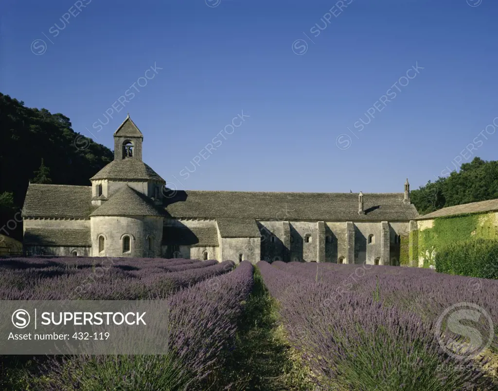 Semanque Abbey Provence France