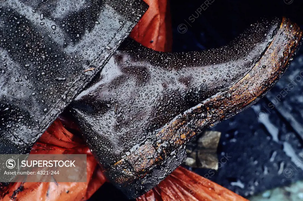 A Boot Covered with Oil