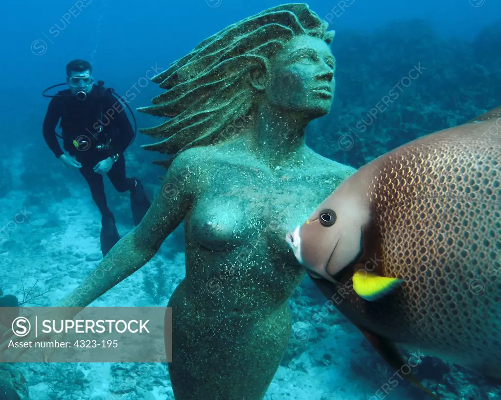 A Scuba Diver and a Grey Angelfish Say Hello to Amphitrite, Queen of the Sea