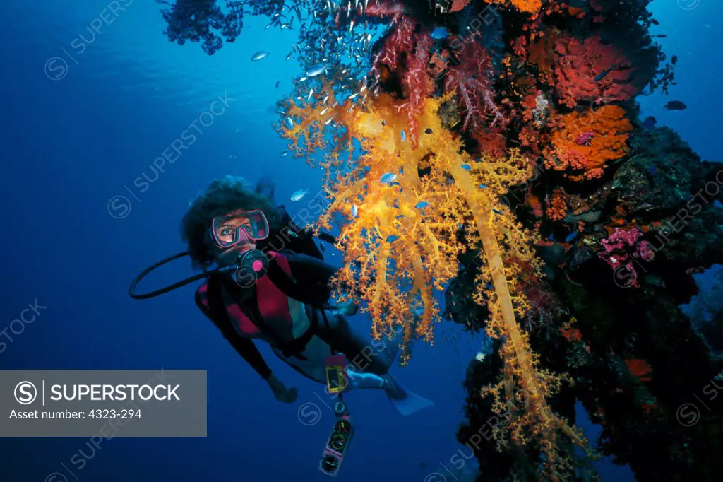 Scuba Diver on Wreck Site in Truk Lagoon, Micronesia