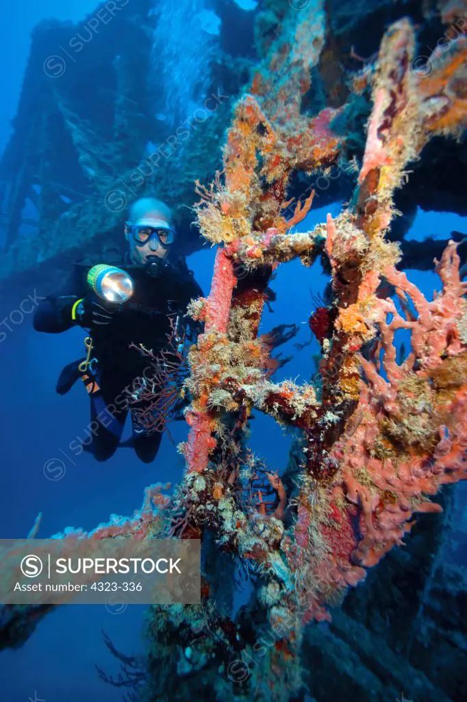 Diver on Underwater Shipwreck