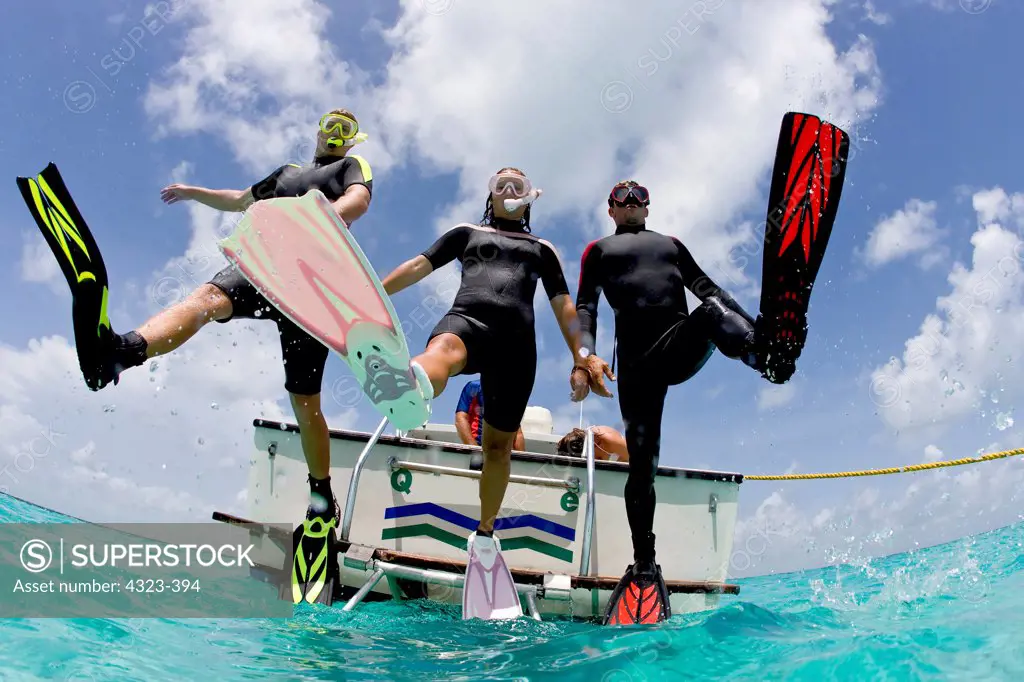 Trio of Snorkelers Enter the Water