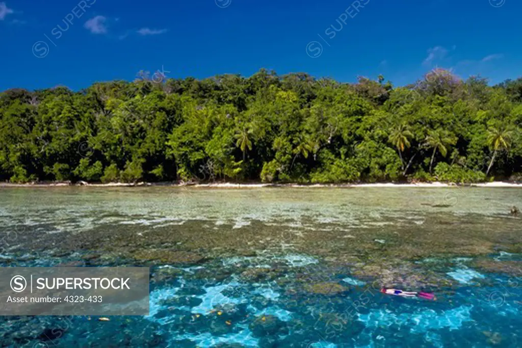 Snorkeling Near Tropical Island