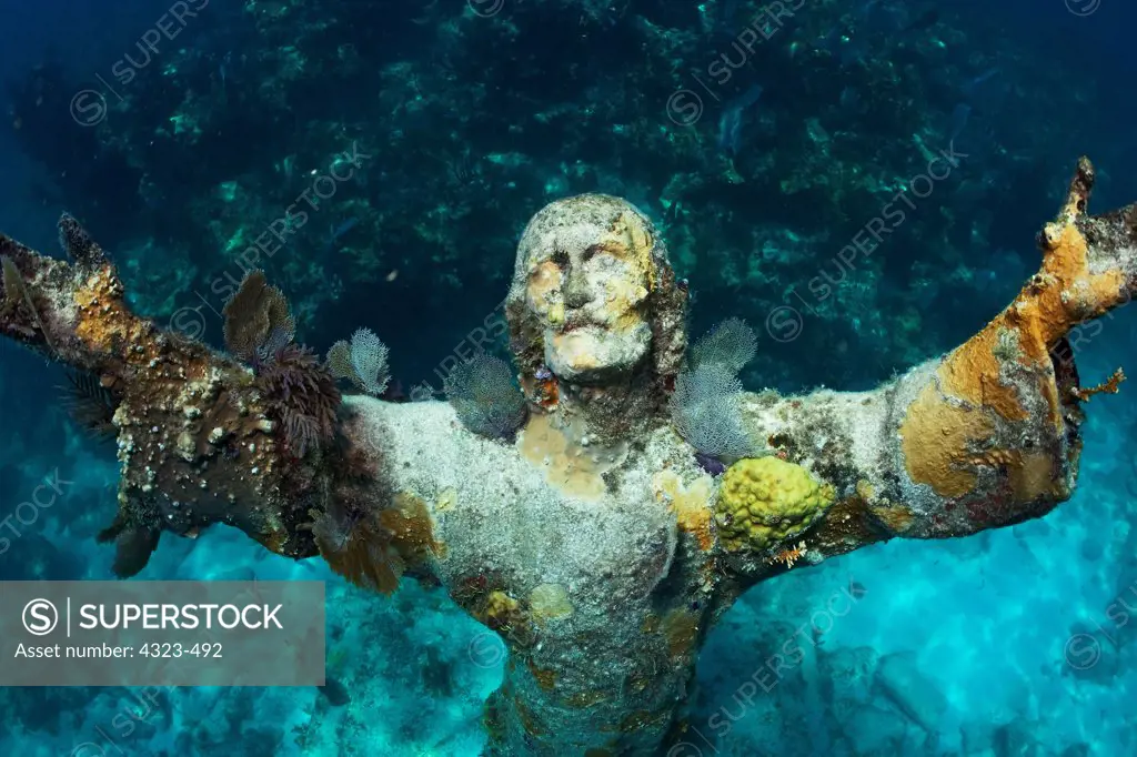 Underwater Statue of Christ