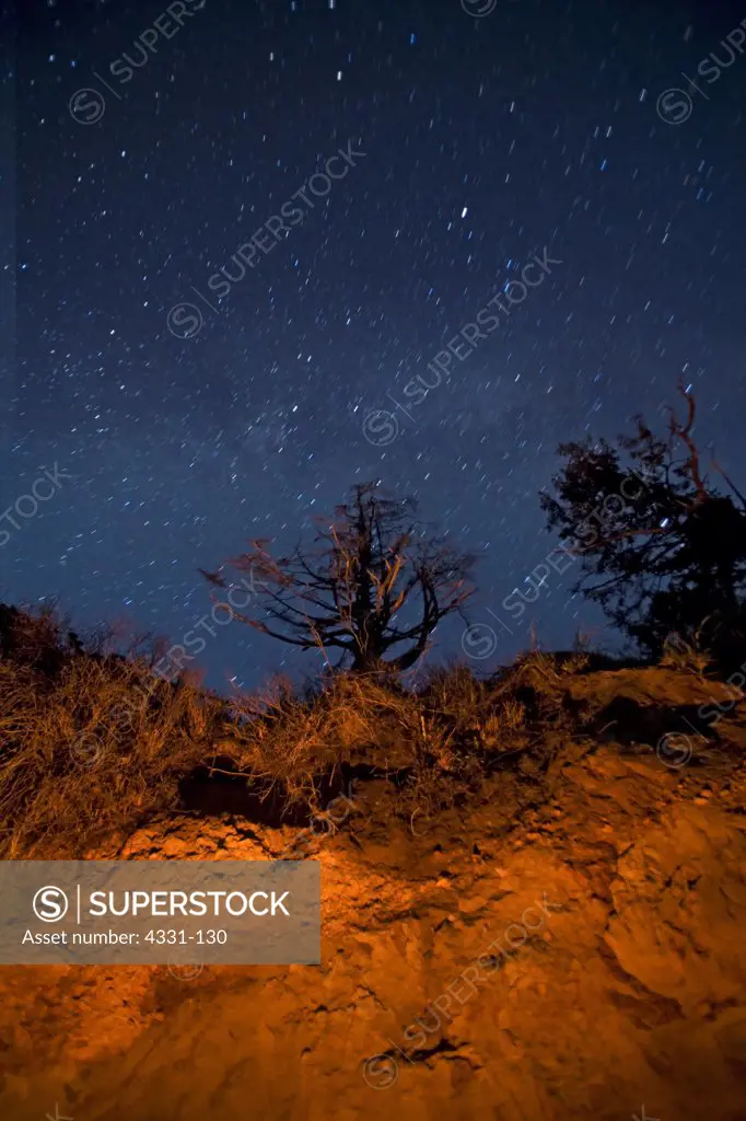 Firelight illuminates the undersides of a rock outcropping. The stars and Milky Way project an opposing cold light. The Oregon Coast is scattered with driftwood ready to be burned.