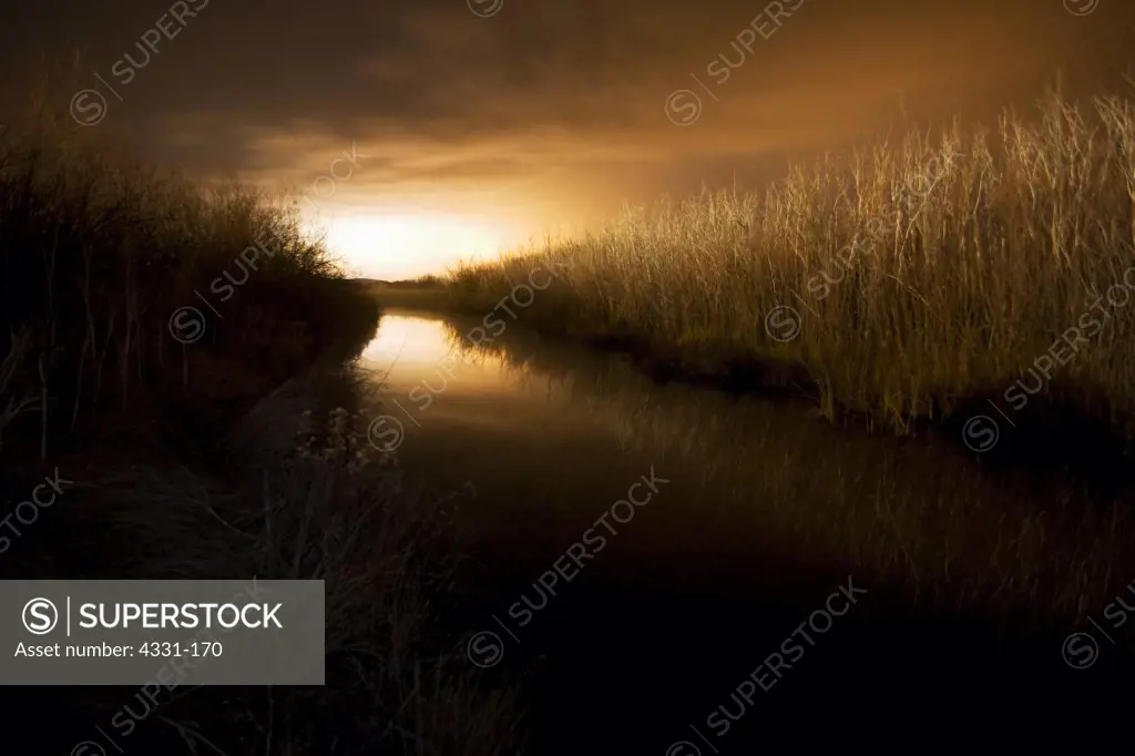 A hot spring river with city lights brightening the horizon in Nevada.