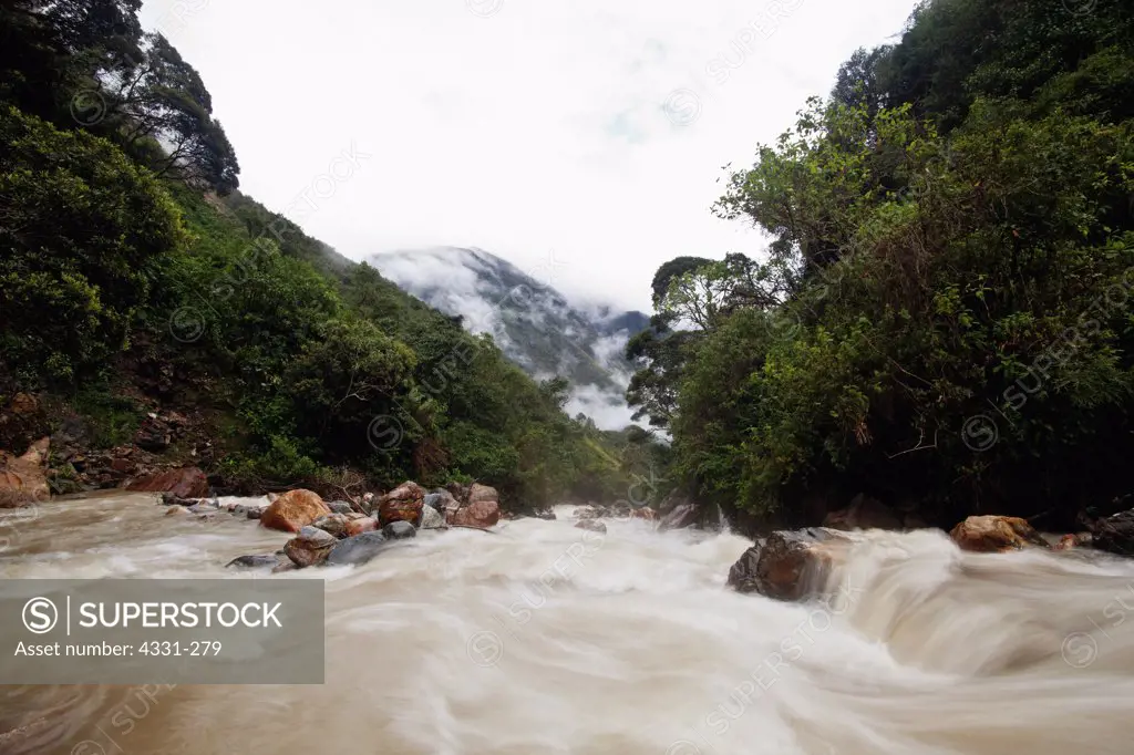River Along the Salkantay Trail Through Lush Tropical Rainforest