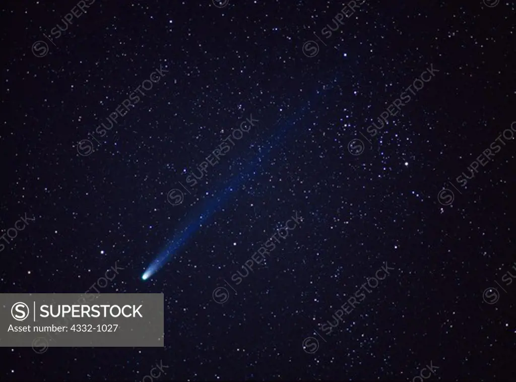 Night view of Comet Hyakutake in starry sky above the Sierra Foothills in March of 1996, Sequoia National Park, California.