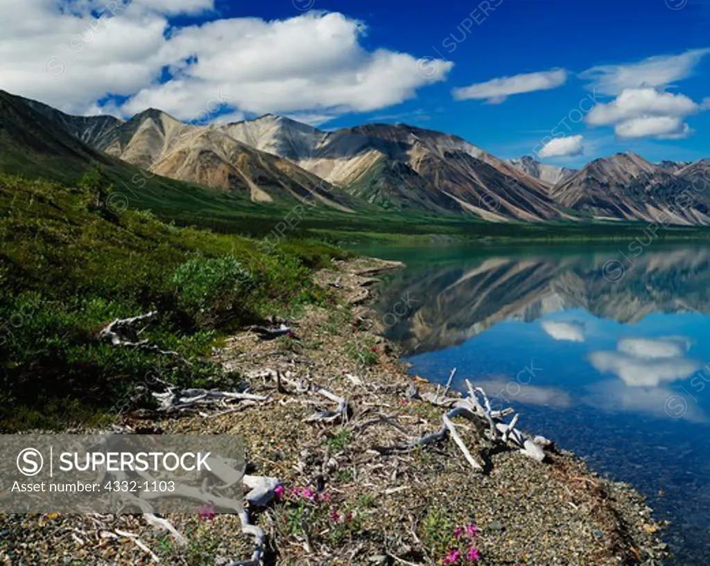 Volcanic hills reflected in Upper Twin Lake with driftwood and dwarf fireweed along shore, Lake Clark National Park, Alaska.