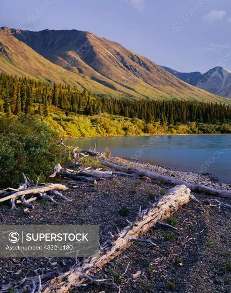 Driftwood along the shore of Upper Twin Lake with the Volcanic Hills beyond, Lake Clark National Park, Alaska.