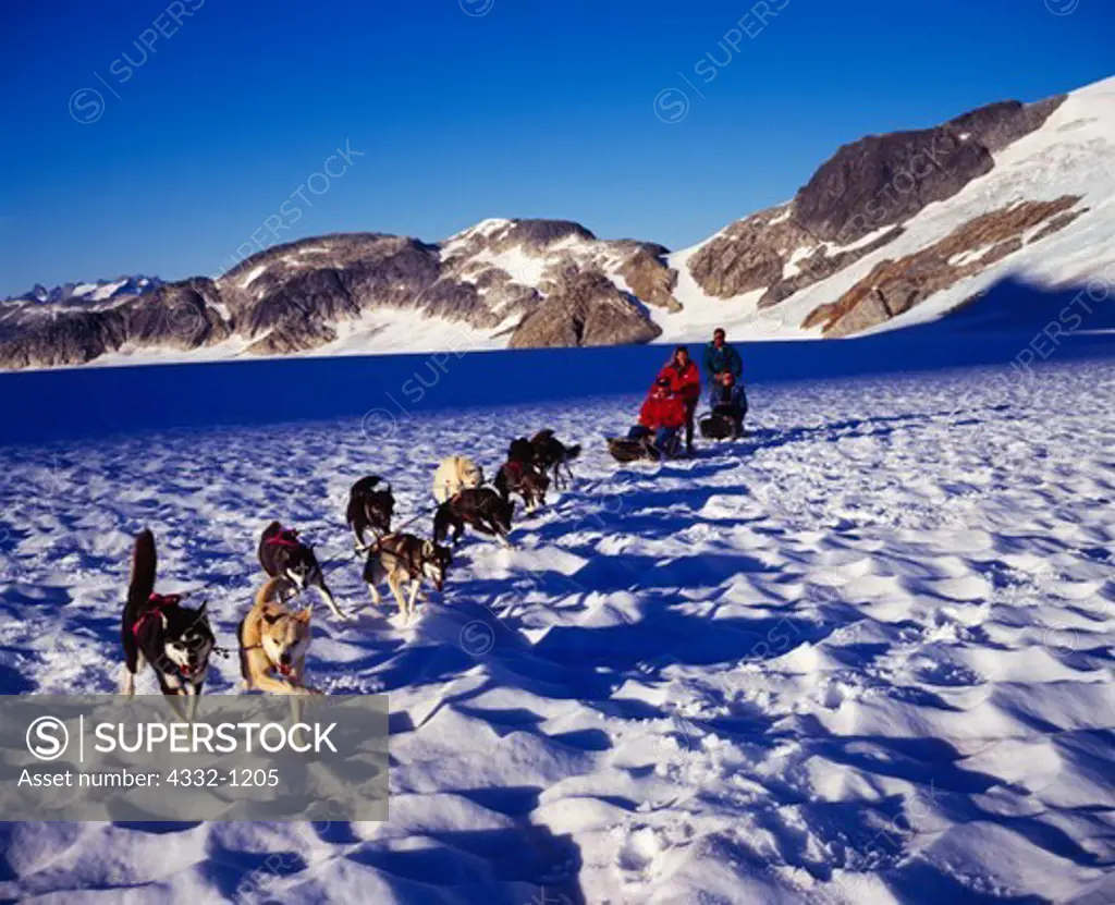 Musher Lorraine Temple giving a sled dog tour, Middle Branch of the Norris Glacier, Juneau Icefield, Tongass National Forest, Alaska.