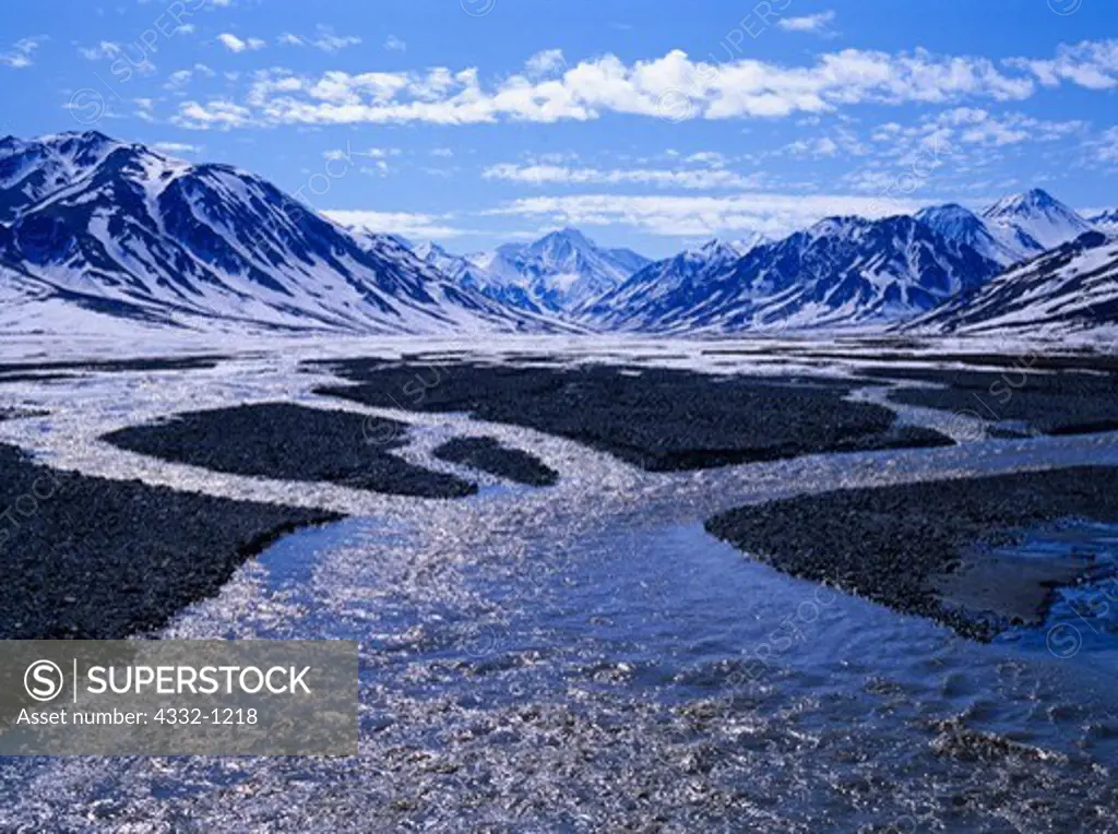 Braided streams of the Toklat River filled with glacial water and spring snow melt, Denali National Park, Alaska.