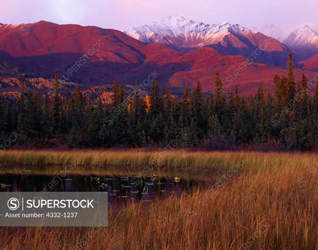 Autumn view at sunset of pond between Caribou and Rock Creeks with the Mentasta Mountains beyond, Wrangell-St. Elias National Preserve, Alaska.
