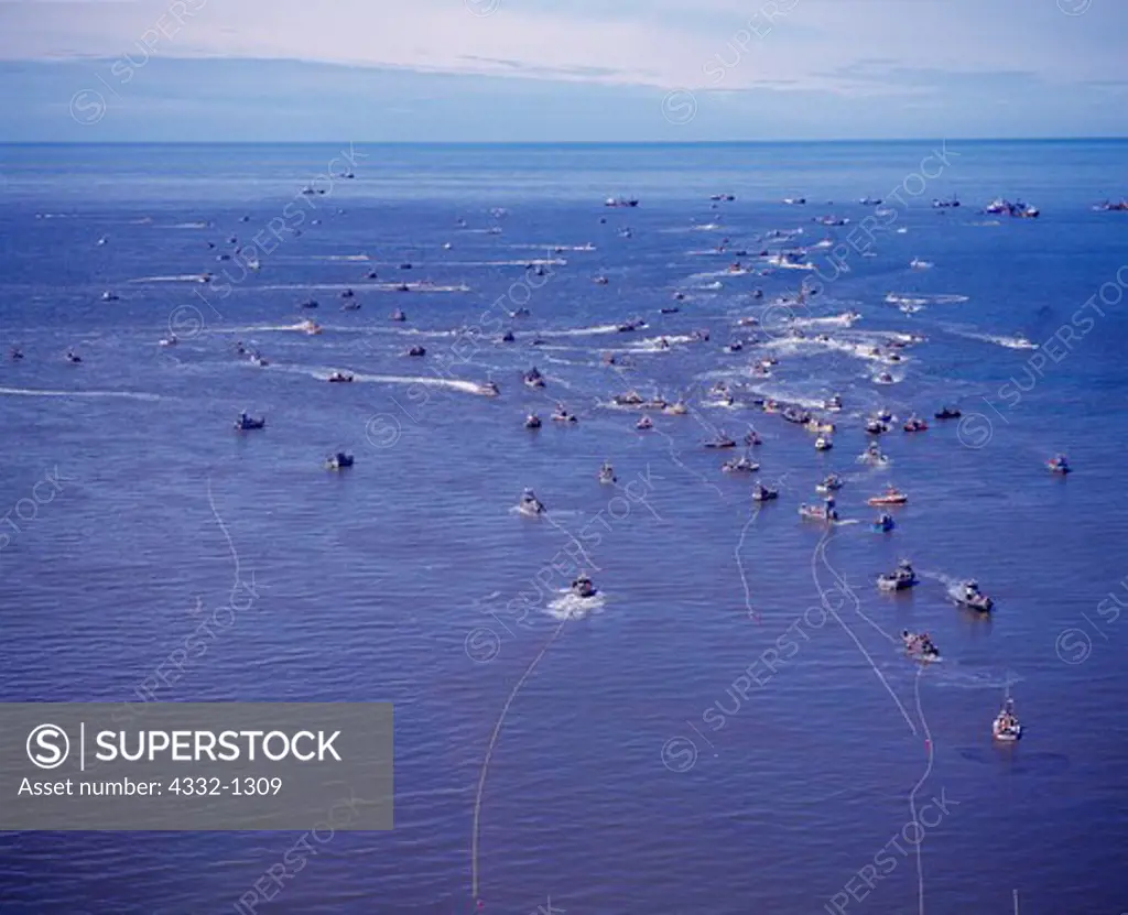 Aerial view of frenzy of commercial salmon fishing during opening off Egegik, Bristol Bay, Alaska.