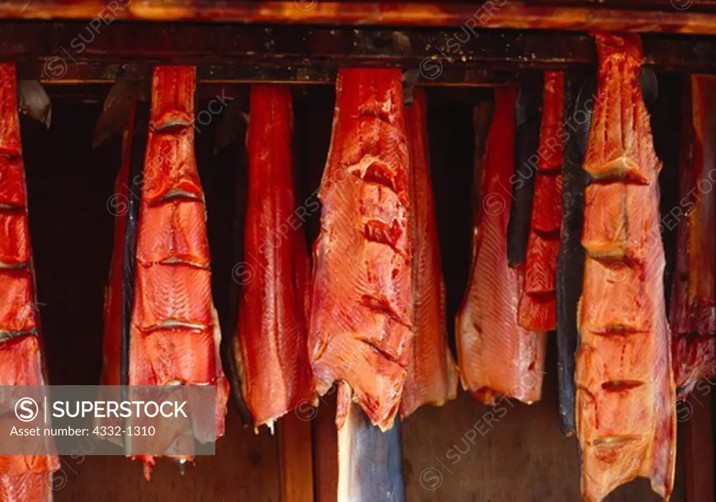 Red Salmon hanging in cold smoke house, Port Alsworth, Alaska.