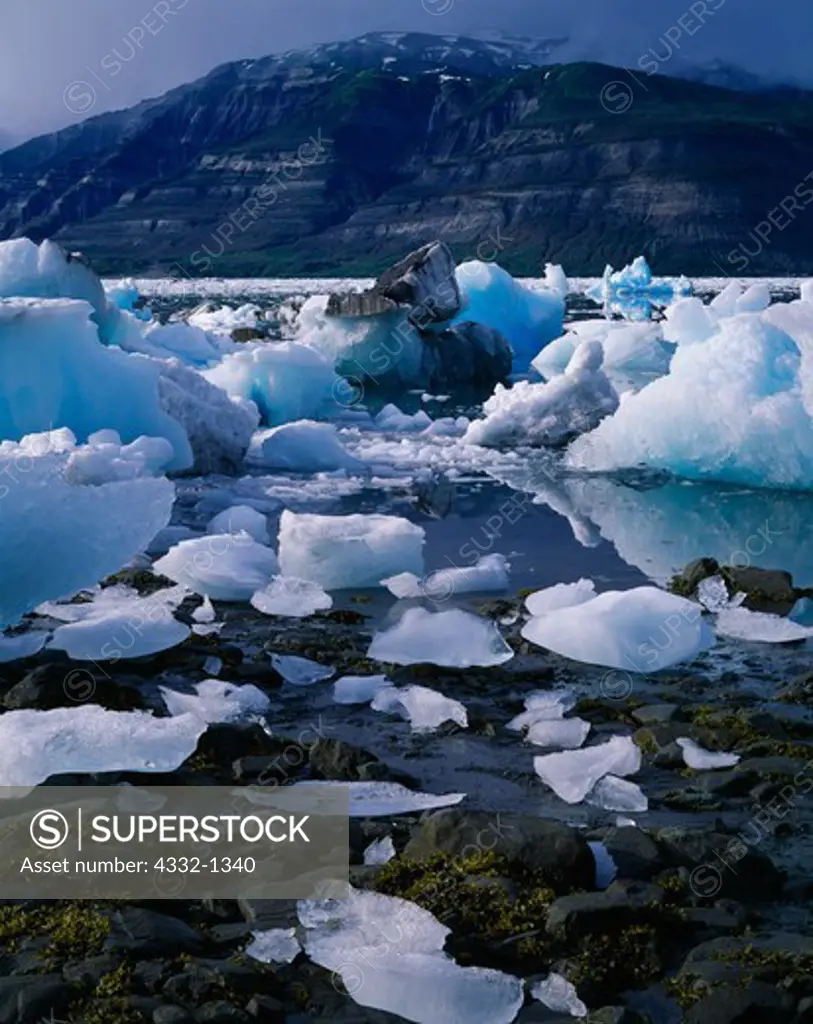 Iceberg-strewn Taan Fiord of Icy Bay with the Karr Hills beyond, Wrangell-St. Elias National Park and Wilderness, Alaska.