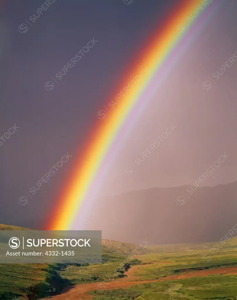 Brilliant rainbow above a tributary to Stony Creek, Denali National Park, Alaska.