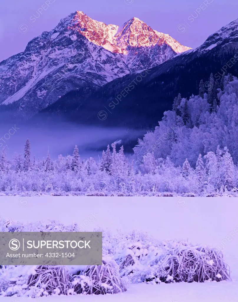 Warm light of the winter sun illuminating Pioneer Peak beyond frost covered edge of pond, Knik River Valley, Alaska.