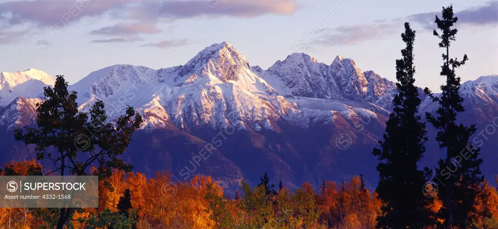 Autumn colors of cottonwood and birch with Goat Mountain and Twin Peaks of the Chugach Range beyond, Crevice Moraine Trail, Matanuska Valley, Palmer, Alaska.