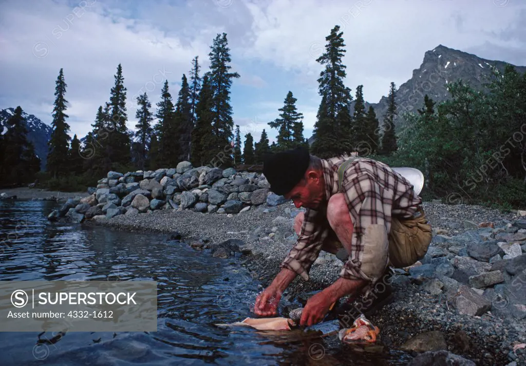 Dick Proenneke cleaning Lake Trout, Upper Twin Lake, Lake Clark National Park, Alaska.