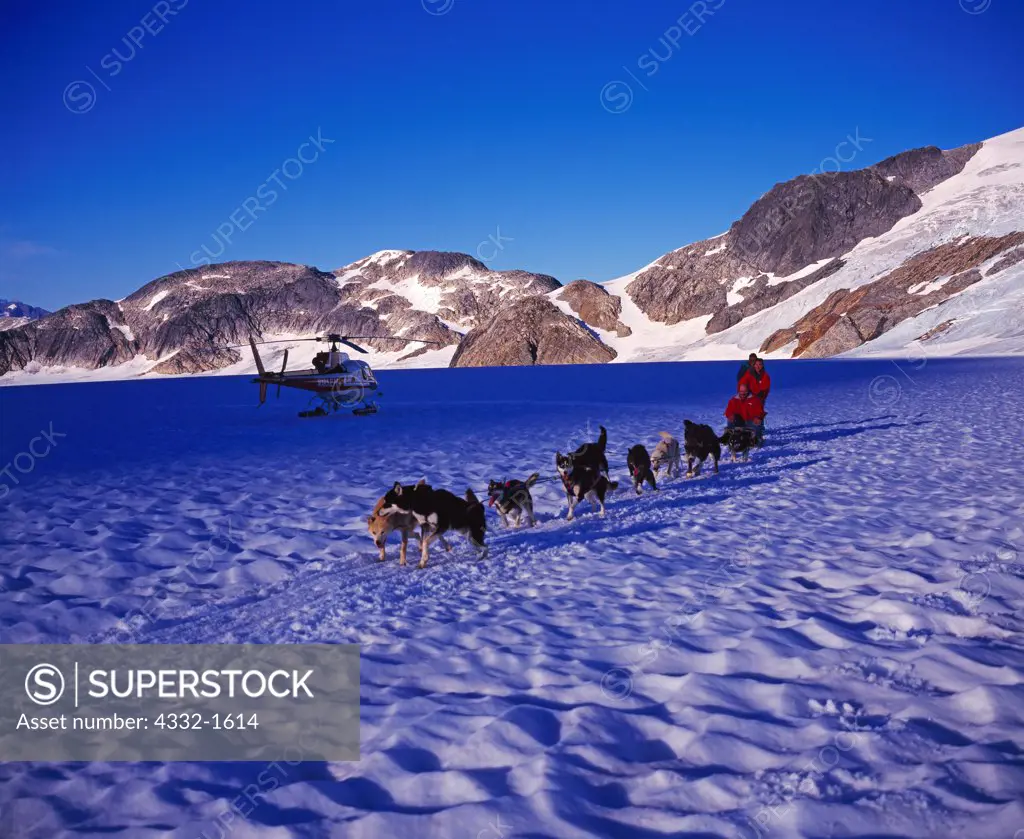 Musher Lorraine Temple giving a sled dog tour, Middle Branch of the Norris Glacier, Juneau Icefield, Tongass National Forest, Alaska.