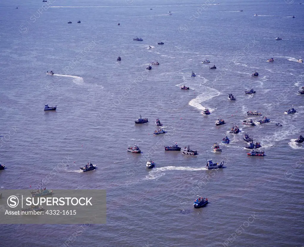 Aerial view of frenzy of commercial salmon fishing during opening off Egegik, Bristol Bay, Alaska.