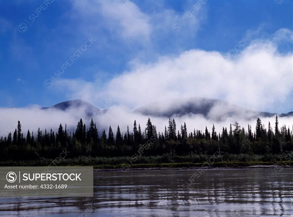 Fog lifting from the white spruce forest along the Yukon River upstream from Montauk Bluff, Yukon-Charley Rivers National Preserve, Alaska.