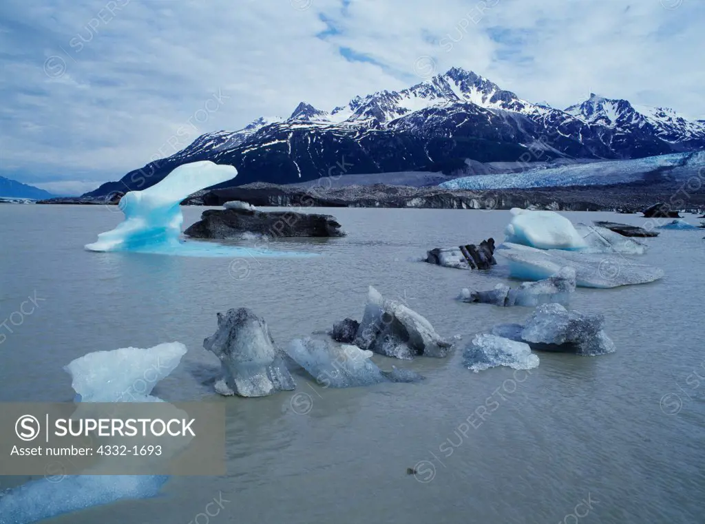 Icebergs calved from Shamrock Glacier floating in Shamrock Lake just east of Lake Clark National Park, Alaska.