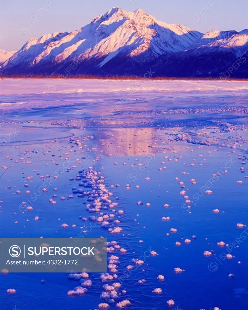 Winter sunset illuminating frost rosettes on ice of Palmer Slough with Pioneer Peak of the Chugach Mountains beyond, Palmer Hay Flats State Game Refuge, Alaska.
