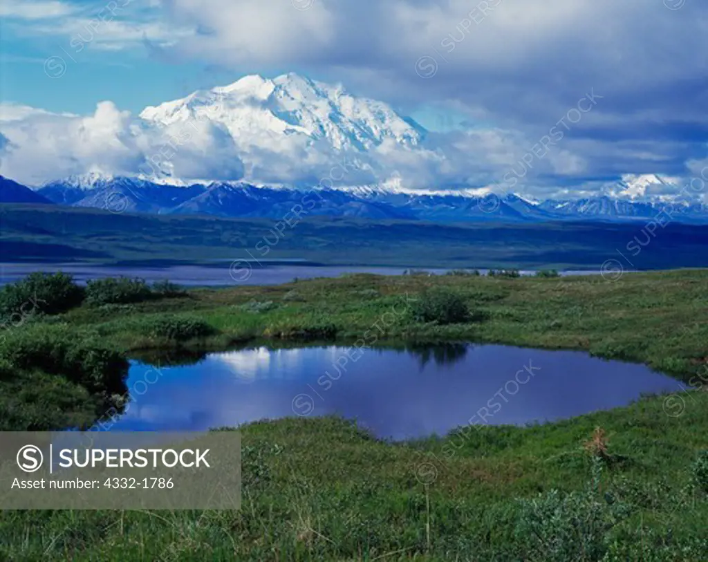 Tundra pond and McKinley River Bar with Denali or Mt. McKinley beyond, Denali National Park, Alaska.