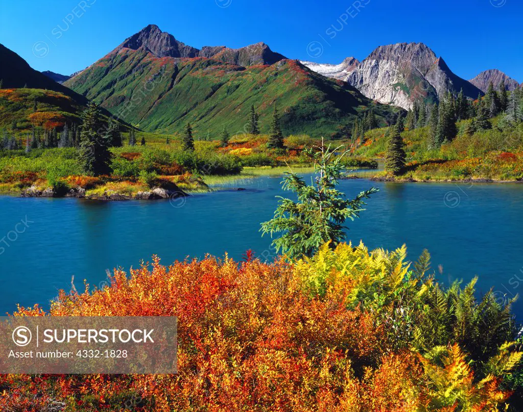Autumn colors of tundra along the shore of Silver Horn of Lake Beverley, Wood River Mountains, Wood-Tikchik State Park, Alaska.