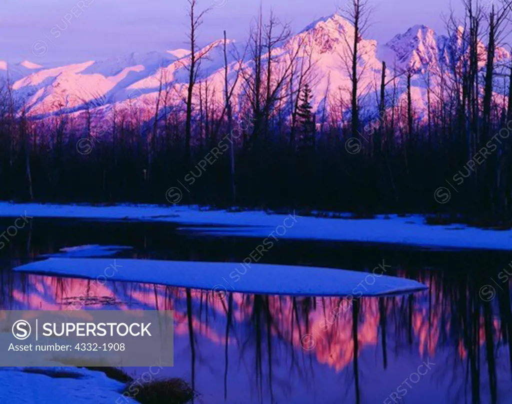 Goat Mountain and Twin Peaks illuminated by alpenglow and reflected in Rabbit Slough during spring break-up, Matanuska Valley, Alaska.