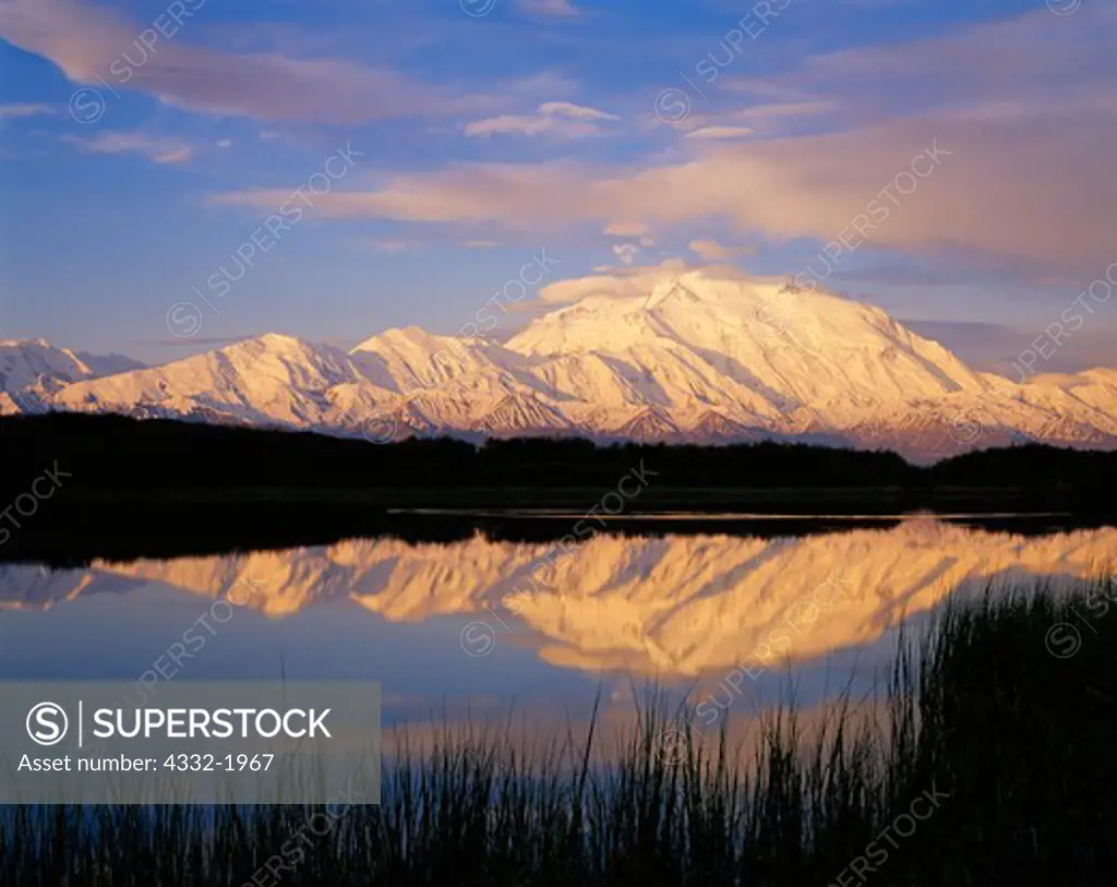 Morning reflection of 20,320 foot Mount McKinley or Denali, Reflection Pond, Denali National Park, Alaska.