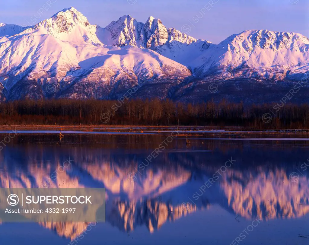 Spring view of Goat Mountain and Twin Peaks of the Chugach Range reflected in flooded Palmer Hay Flats State Game Refuge, Alaska.