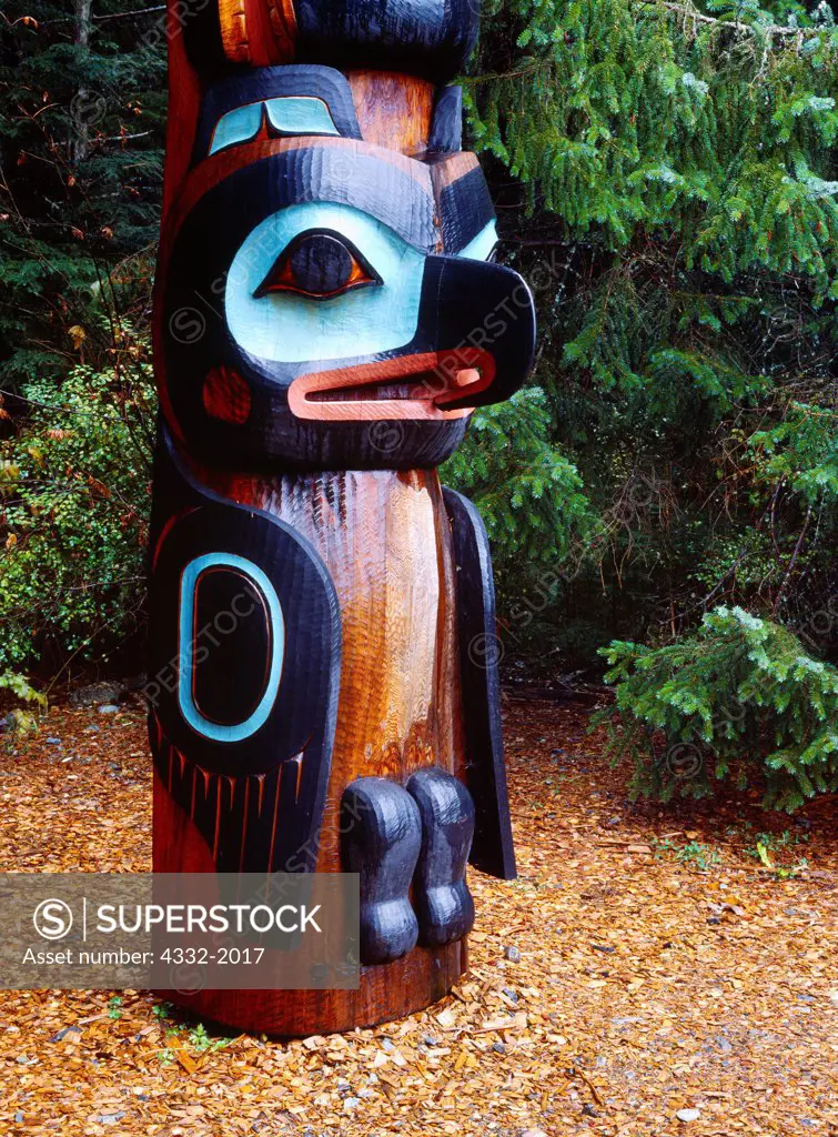 Gaanaxadi/Raven Pole carved by Nathan Jackson and Steve Brown in 1983.  The original pole, either a crest pole or a legend pole depicting 'Raven and the Whale', was donated to John Brady in 1903 by Chief Gunyah of the Tlingit village of Tuxekan. This reproduction of the original pole resides in Sitka spruce forest, Sitka National Historic Park, Baranof Island, Southeast Alaska.