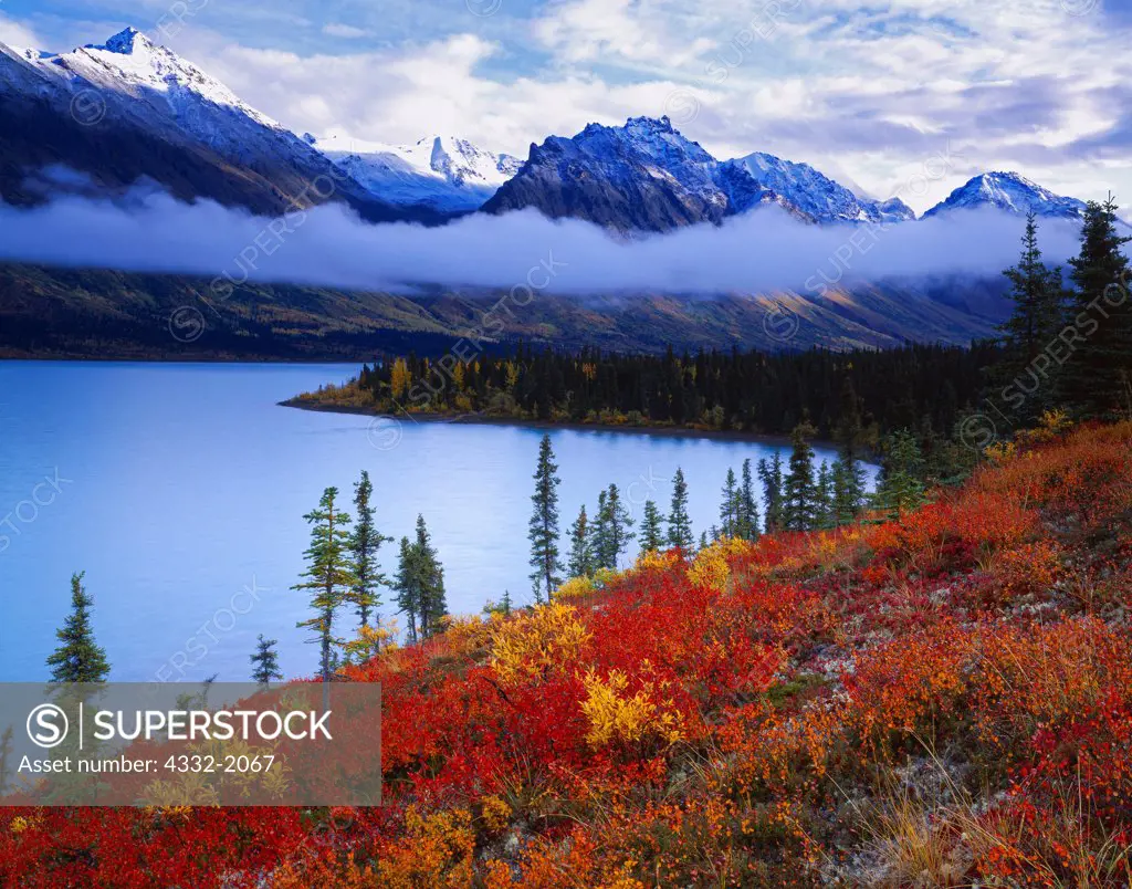 Autumn colors of dwarf birch and willow on bluff above Upper Twin Lake near the mouth of Hope Creek, Lake Clark National Park, Alaska.