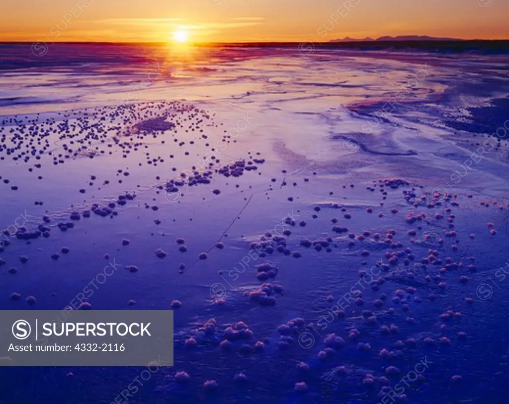 Sun setting over Cook Inlet with frost rosettes on ice of Palmer Slough, Mount Spurr and Mount Susitna visible on horizon, Palmer Hay Flats State Game Refuge, Alaska.