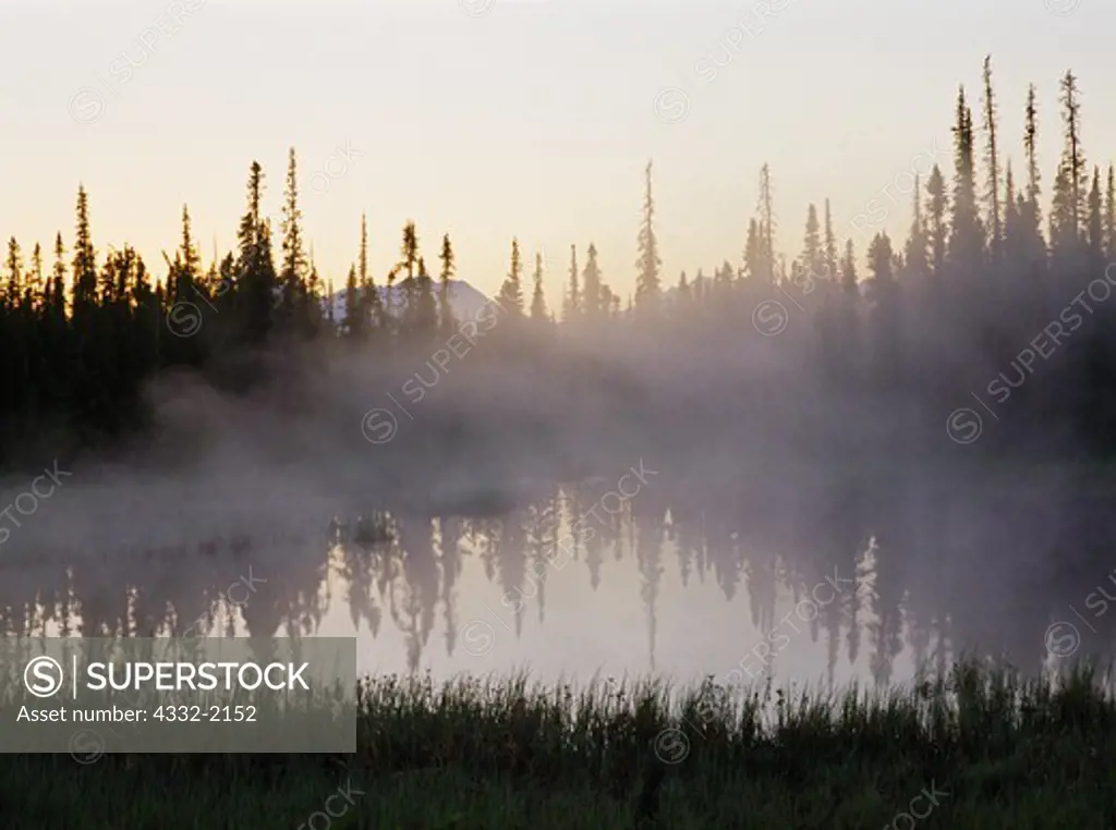 Morning mist hanging over pond in white spruce forest between Tunutuk and Nakochelik creeks, Kobuk Valley National Park, Alaska.