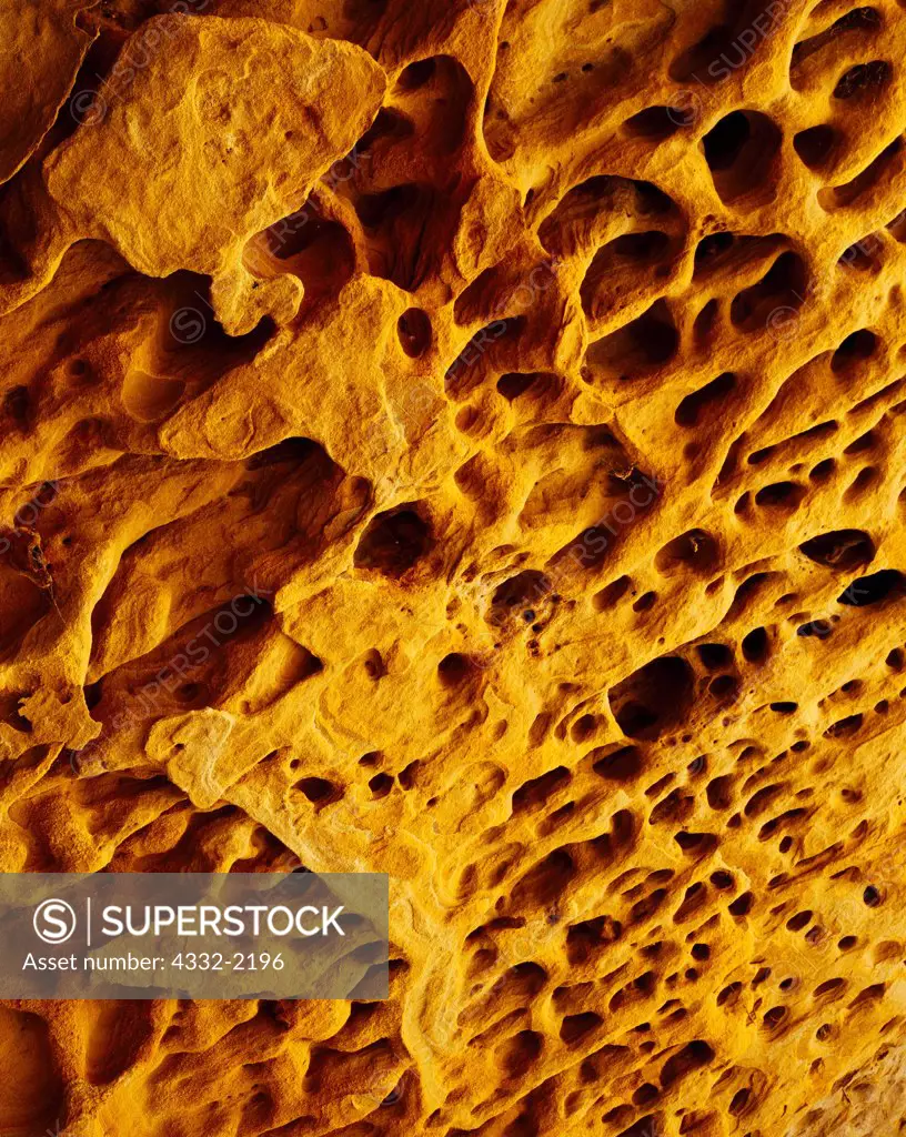 Sculpted sandstone ceiling of Mellen Hill Cave, northwestern Colorado.