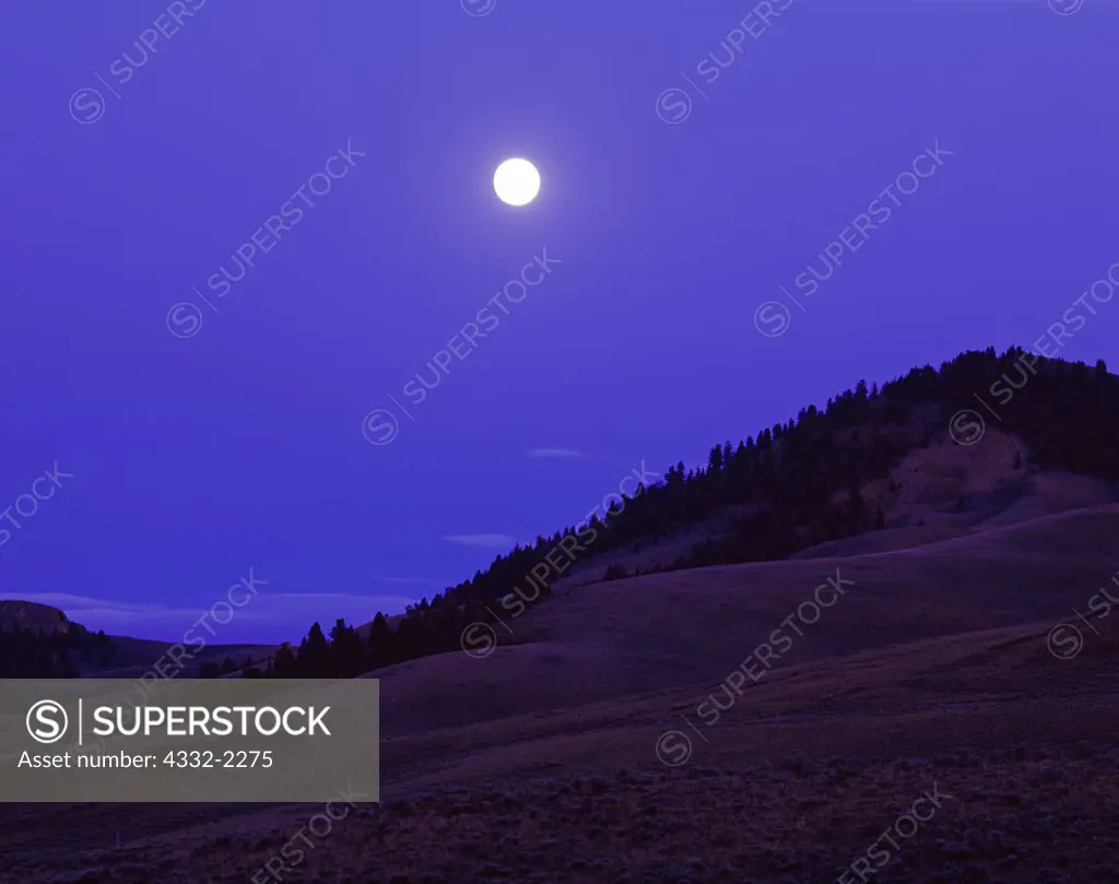 Full moon rising over hill above the East Fork Big Lost River, Salmon-Challis National Forest, Idaho.