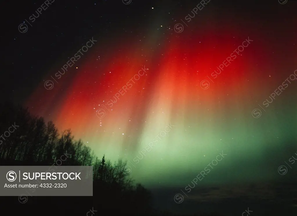 Brilliant red and green aurora above Wishbone Hill during geomagnetic storm on the morning of November 24, 2001, Matanuska Valley, Alaska.